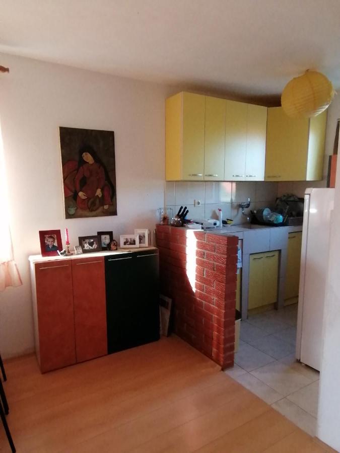 Villa Lila Dolno Dupeni エクステリア 写真
