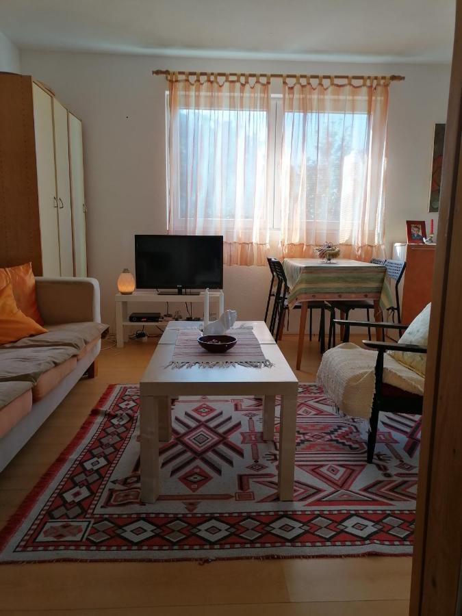 Villa Lila Dolno Dupeni エクステリア 写真
