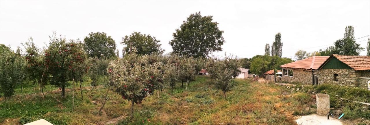 Villa Lila Dolno Dupeni エクステリア 写真