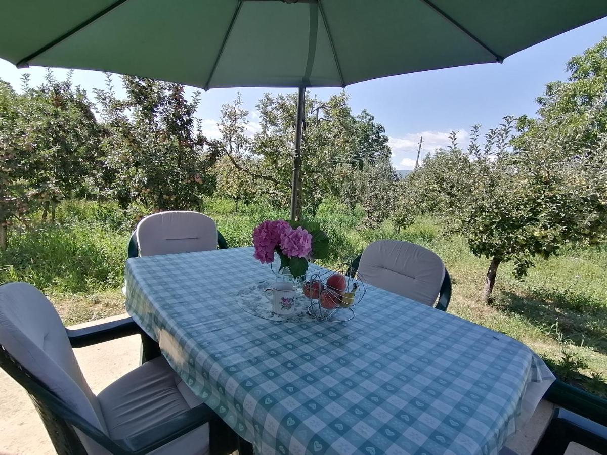 Villa Lila Dolno Dupeni エクステリア 写真