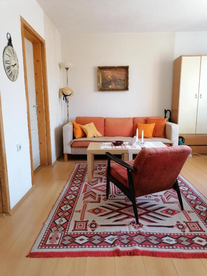 Villa Lila Dolno Dupeni エクステリア 写真