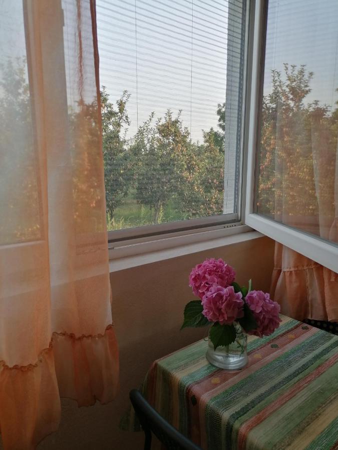 Villa Lila Dolno Dupeni エクステリア 写真